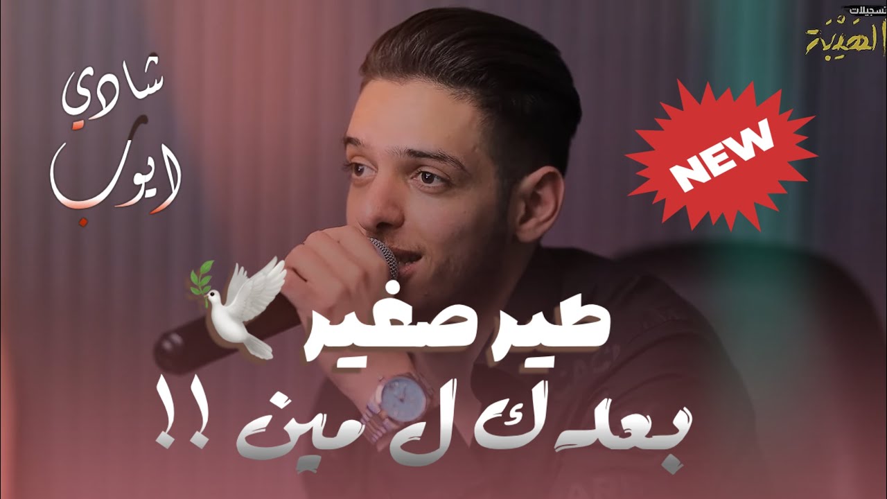 اسمع وركز 🔥 || شادي ايوب || طير صغير🕊️ - بعدك ل مين !! - تسلملي عيونا || جديد وحصري 2025