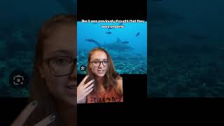 Lake Nicaragua Sharks