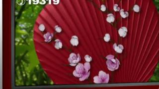 Aquos D30 Series 20.wmv