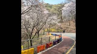 도란도란 영상