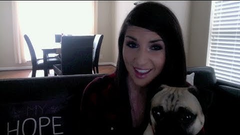 The Macro Experiment VLog 2: The Future