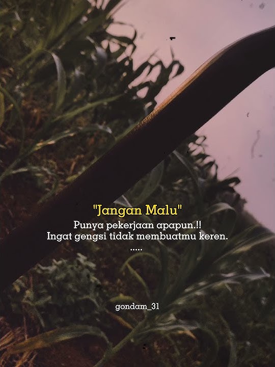 dadio wong sing ojo gengsian men