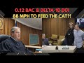 88 MPH to Feed a Cat: Judge Denies Probation After Defendant’s Wild Excuses
