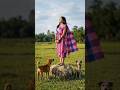 Hishit Hoy Gecho Santali #shorts #video #santali #trending...???