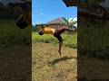 Back Flip #parkour