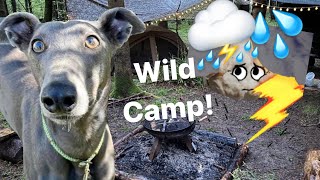 GREYHOUND WILD CAMPS in Dorset FOREST in the rain