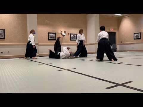 'Aikido helps connect