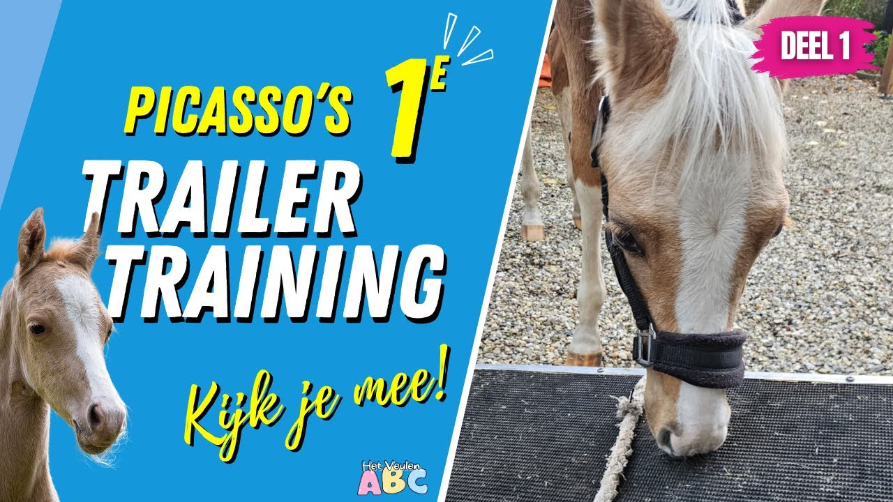 Picasso's eerste trailer training 🤩 Kijk je mee?