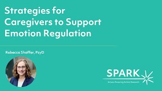 Strategies for Caregivers to Support Emotion Regulation