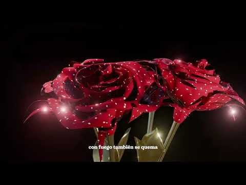 Samuel SLZR - INTRO (Lyric Video) | ROSAS DE LUNARES