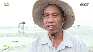 ICAFIS LÀM SẠCH BIỂN TÂN THÀNH GÒ CÔNG ĐÔNG