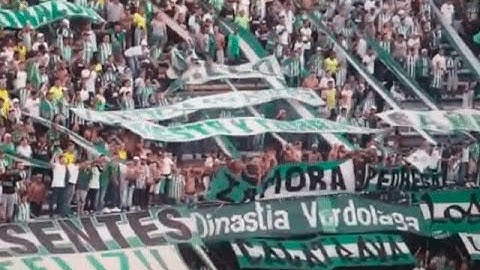 Autoridades piden evitar imprudencias tras caída de hinchas de Nacional en el Atanasio Girardot