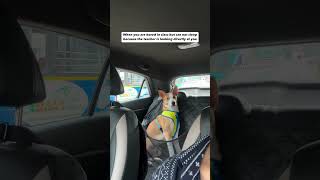 When You Are Bored In Cl