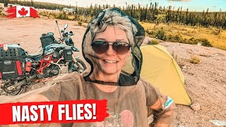 What's the Biggest Challenge on Labrador Highway? Black Fly Bonanza!  EP. 184