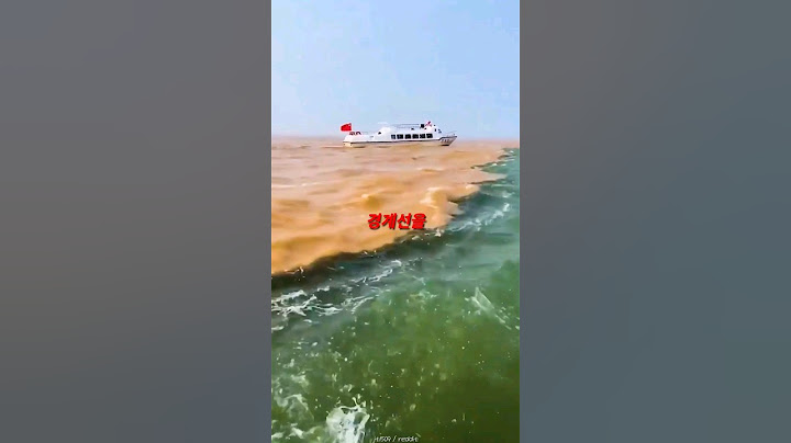 강과 바다가 만나는 지점 ㄷㄷ