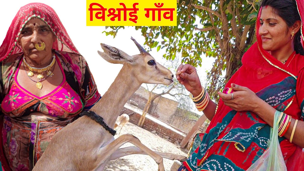 547     Mukti dham Mukam bishnoi Hindu Culture  Rajasthani ganv Bikaner Nagaur