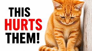 7 Things You Do That Secretly Hurt Your Cat’s Feelings