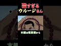 黄猿の蹴りが全然効かないウルージさん【ワンピース外伝】 #shorts