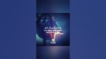 مقطع يلامــس القلب بصوت جميل جدا القاريء طارق محمد 💭💗 حالات واتس أب قران كريم ♥️🎧 Quran status