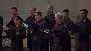 The Cloths of Heaven ii. He wishes for the Cloths of Heaven – Michael Higgins