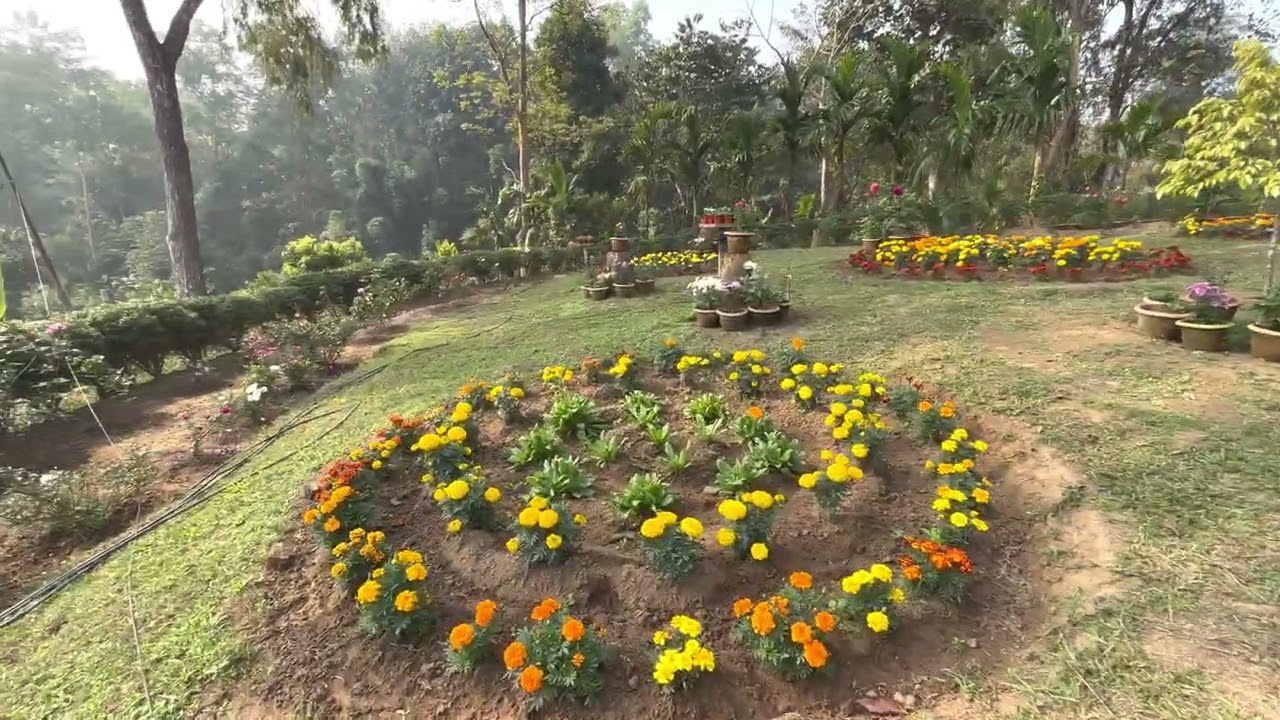 Sobuj Prantar | Plant Nursery | 26 January 2022 | Kachucherra | Salema | Kamalpur | Tripura