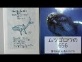 ムツゴロウ、クジラの口に入る。