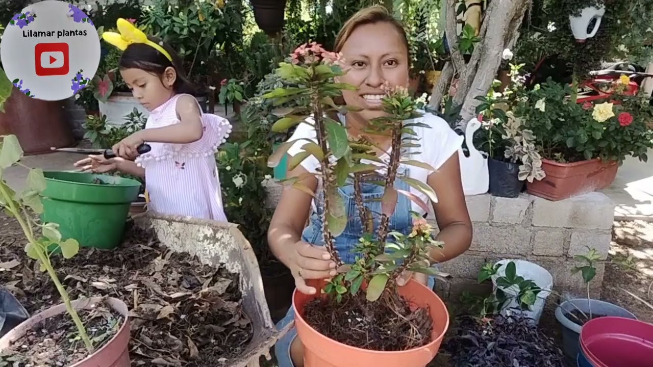Много пересадок, визит землячки, подписчицы, которая подарила мне много растений😍