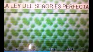 Video thumbnail of "LA LEY DEL SEÑOR ES PERFECTA"