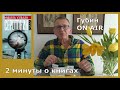 Мишель Уэльбек, "Серотонин": 2-минутная рецензия