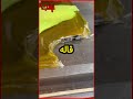 يلا نشرب لبن علشان نقدر نشلها