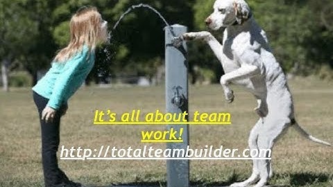 All In One Profits Rotator Club team build, setting up the shared campaign with Bobby K