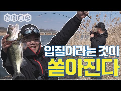 여기는 <strong>황룡강</strong>, 봄 착륙 허가한다✈
