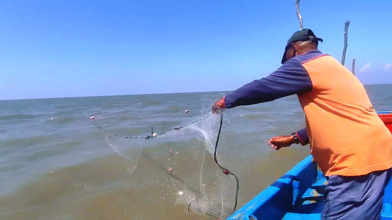 Into the Deep :  A Day in the Life