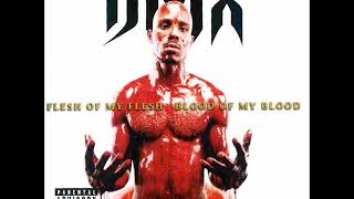DMX - Coming From