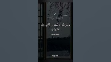 الآية 24 من سورة الملك 🤍🌼 #القرآن_الكريم #quran