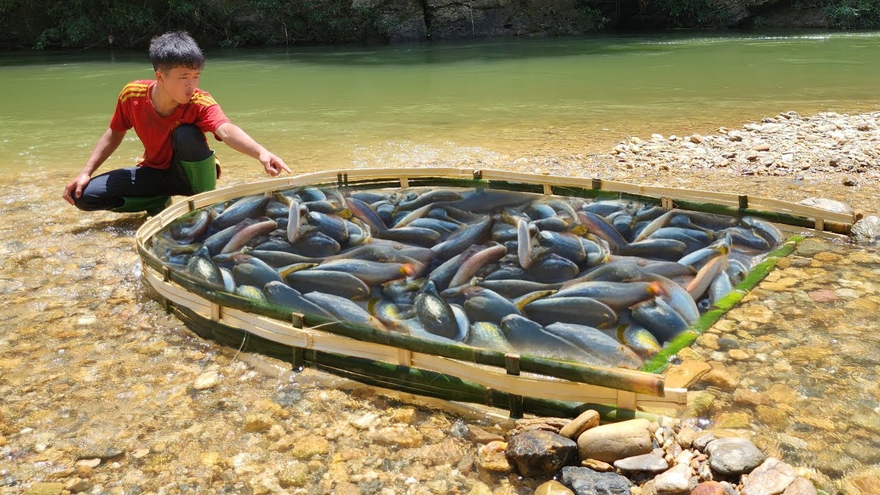 The boy Lam made a bamboo fish trap by himself. And caught a big batch ...