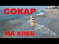 Клюёт постоянно! Ловлю рыбу в Средиземном море.