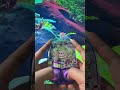 Labubu Water Gamebot #gaming #squidgame #satisfyingvideo #satisfying #toys