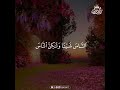 Healing Quran Recitation for Deep Sleep and Heart Serenity to End Your Day #Peace #Quran