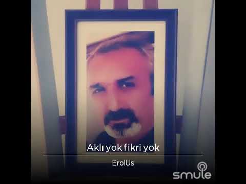 AKLI YOK FİKRİ YOK  - EROL US