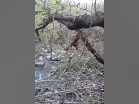Дикий школьник сжигает свой дневник - YouTube
