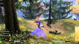 ESO 1.6/ WEIRD DAMAGE glitch!