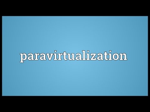 Paravirtualization Meaning