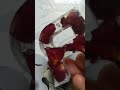 |Resin customized keychain| Flower preservation|@SMKResinart