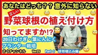 【20日わけぎ・葉にんにくプランター栽培】あなたの野菜球根の植え付け方間違ってます!!基本的な植え付け方を説明します!!さくチャンネルVer25【園芸】【初心者】【ガーデニング】【家庭菜園】