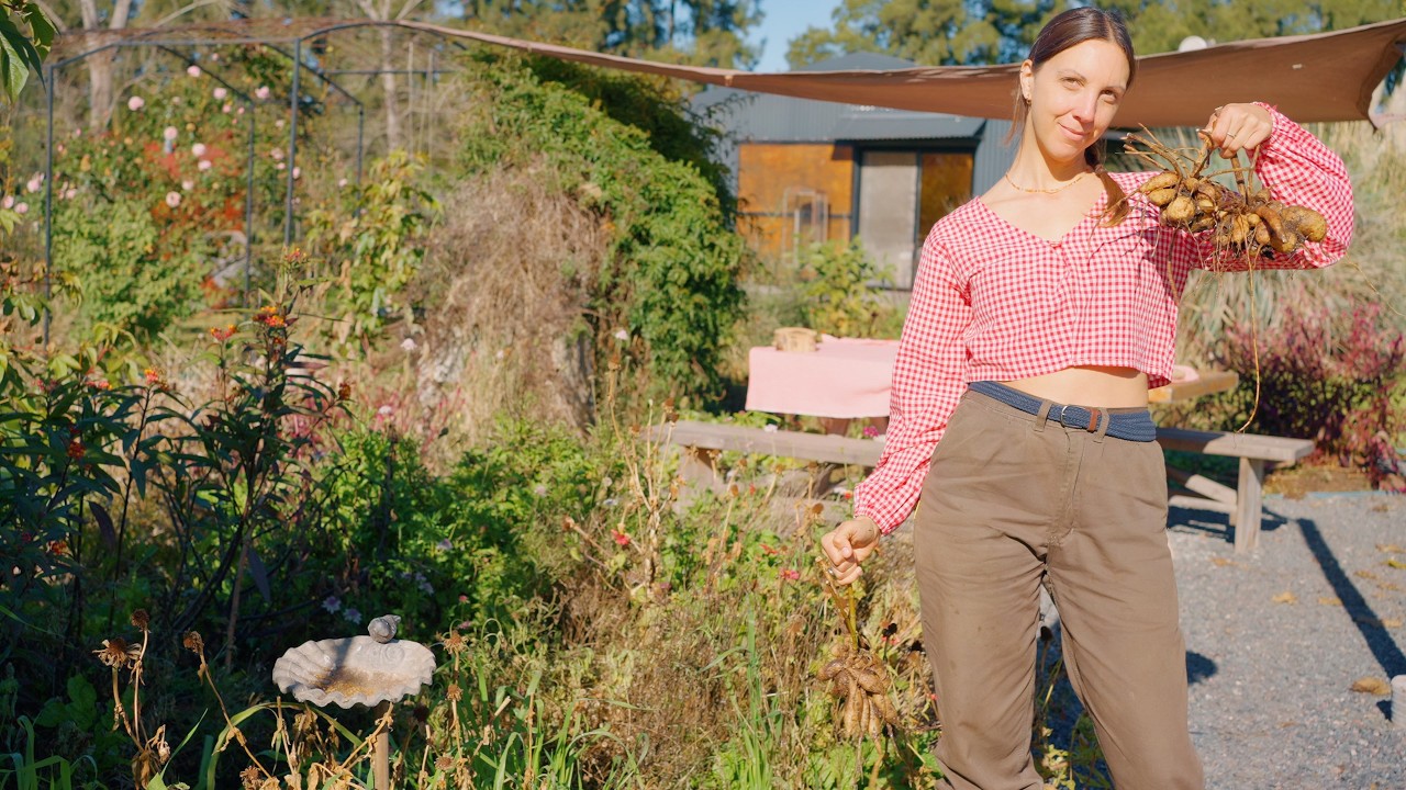 DOS JOVENES VIVIENDO SOLOS EN EL CAMPO | DAHLIAS como dividirlas y guardarlas | plantamos frutillas
