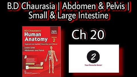 Small and Large Intestine Anatomy | Abdomen and Pelvis | Chapter 20 | BD Chaurasia