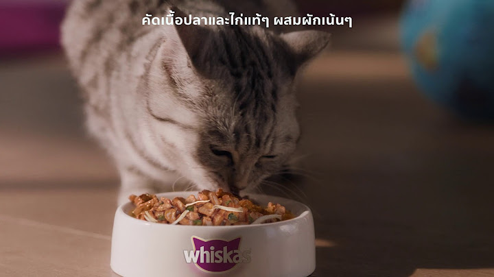 ใหม่! วิสกัส เทสตี้ มิกซ์ ลองเลย!