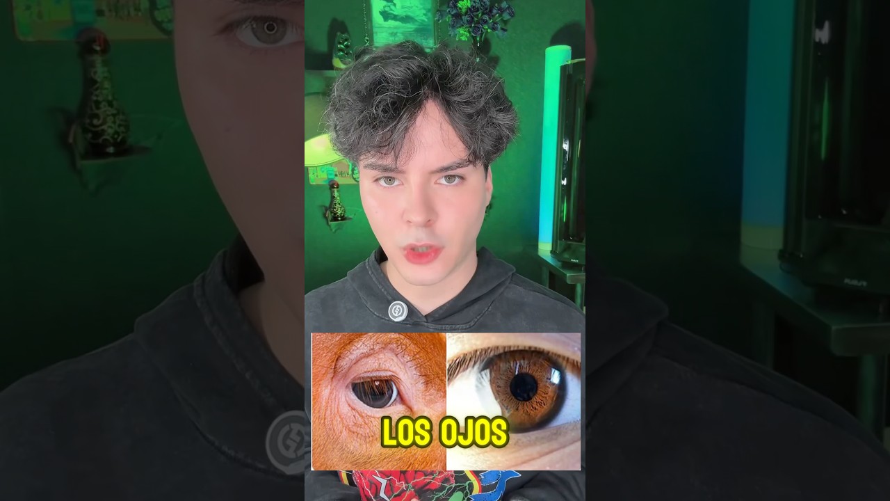 El OSCURO SECRETO de los CERDOS 🐷😰 en REALIDAD son DEMONIOS!! 😱😈