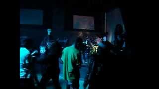 Brutal Brain Damage - Pussy Grinder